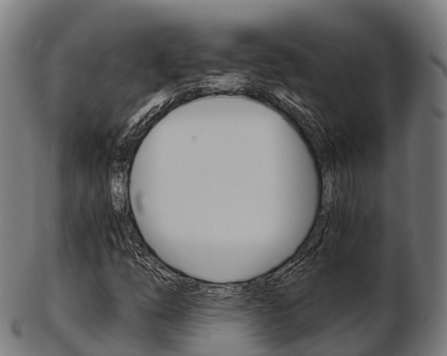 X0000103501254200809121004