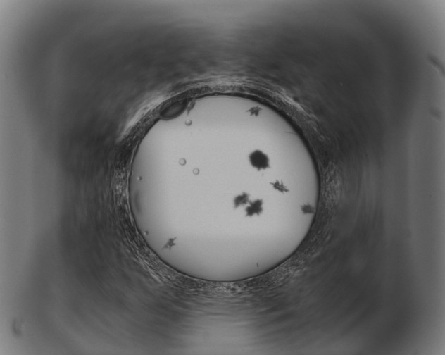 X0000103501255200809121004