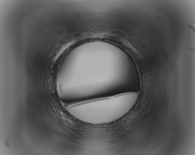 X0000103501256200809121004