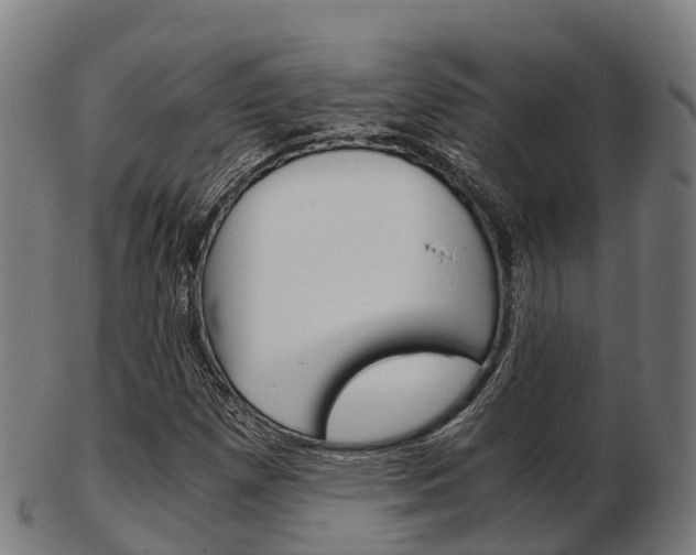 X0000103501257200809121004
