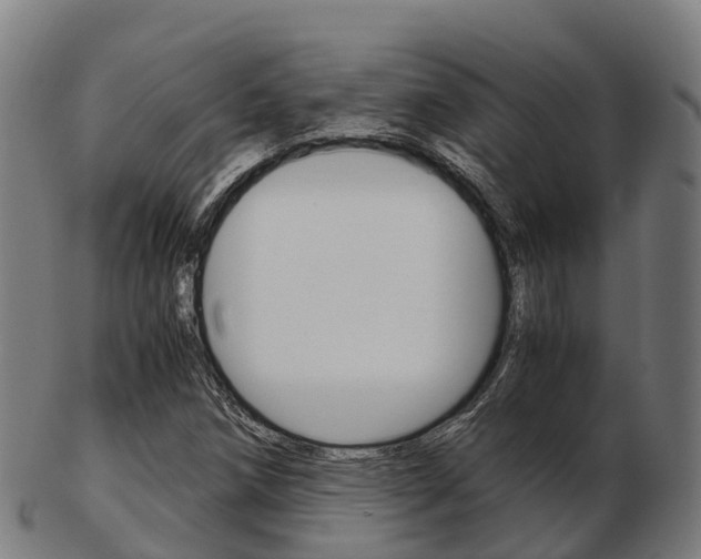 X0000103501258200809121004
