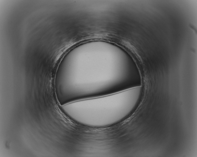 X0000103501260200809121004