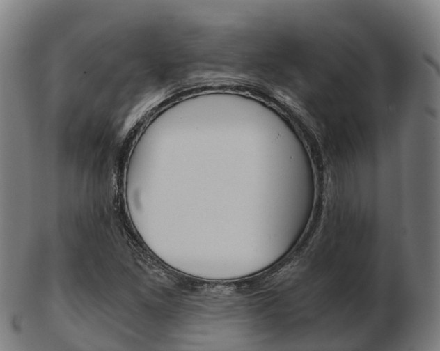 X0000103501261200809121004