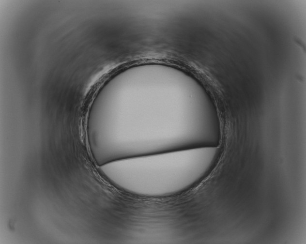 X0000103501262200809121004