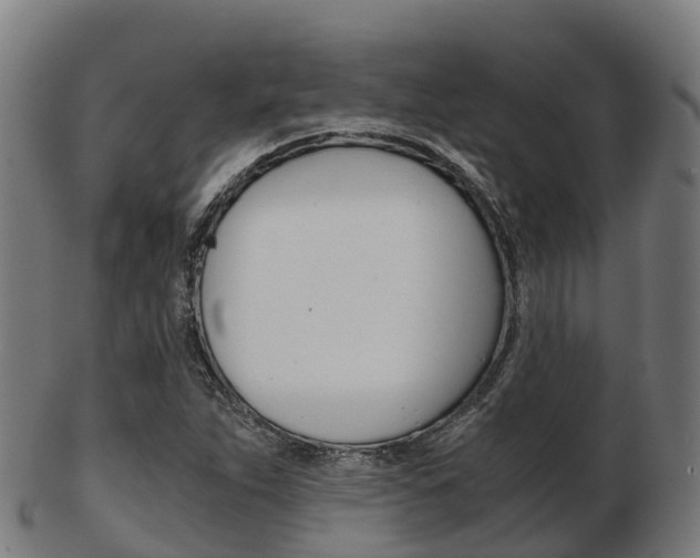 X0000103501263200809121004