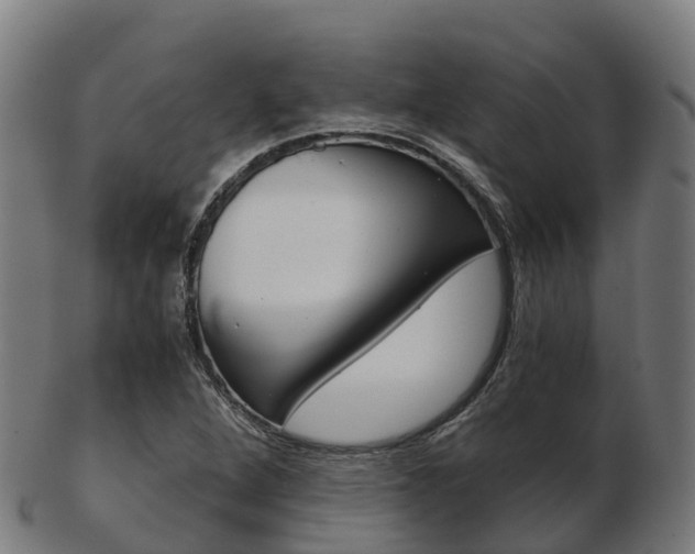 X0000103501264200809121004