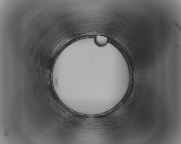 X0000103501265200809121004