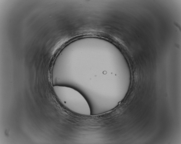 X0000103501267200809121004