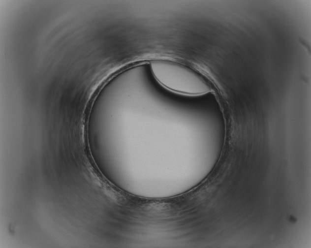X0000103501268200809121004