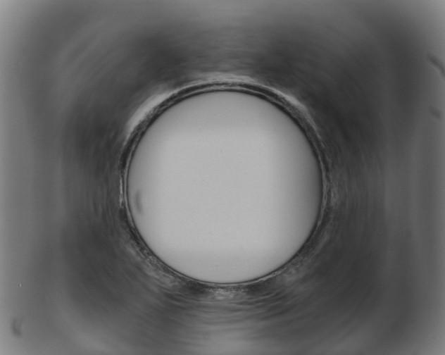 X0000103501271200809121004