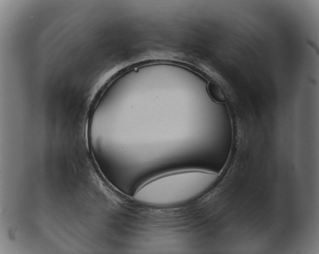 X0000103501272200809121004