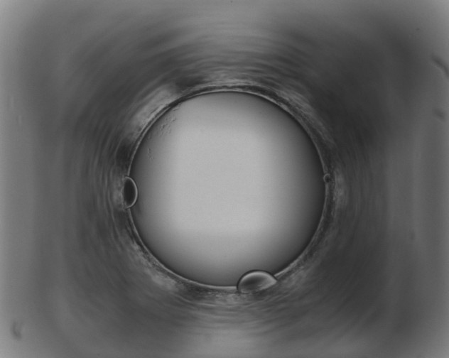 X0000103501273200809121004