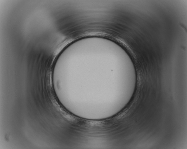 X0000103501274200809121004