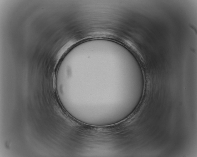 X0000103501275200809121004