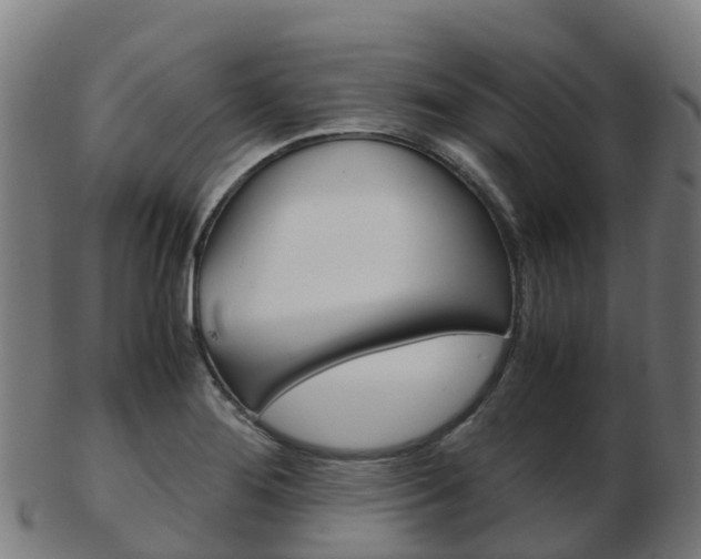 X0000103501276200809121004