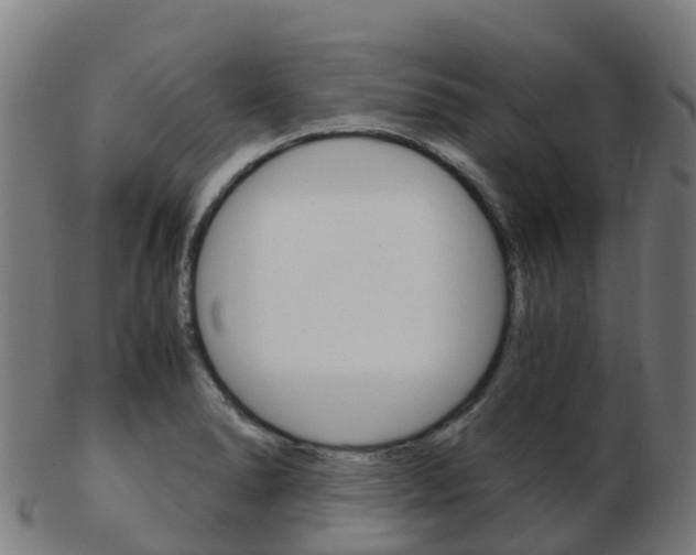 X0000103501278200809121004
