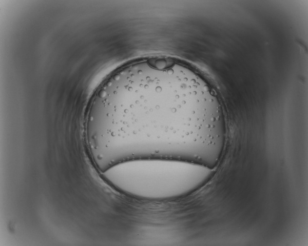 X0000103501279200809121004