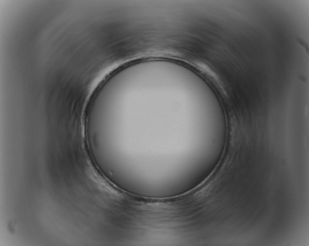 X0000103501280200809121004