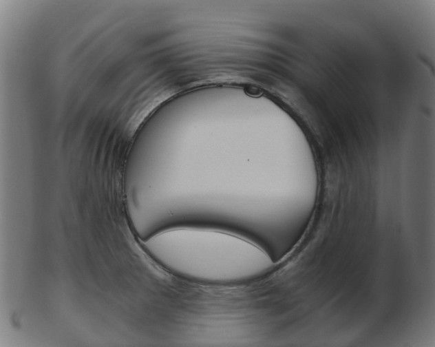 X0000103501281200809121004