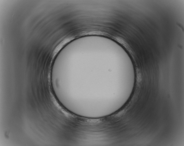 X0000103501282200809121004