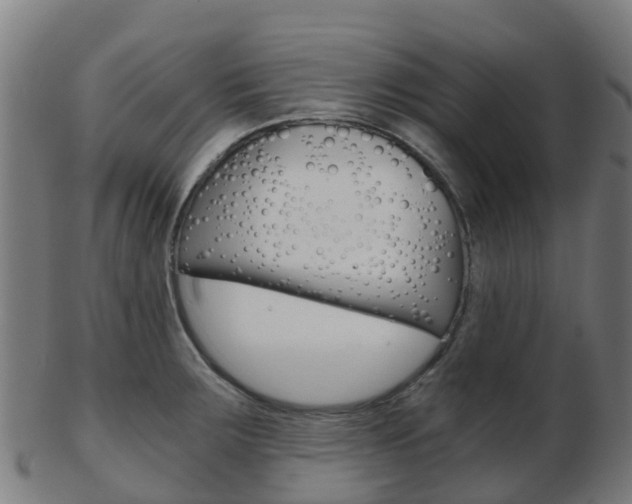 X0000103501283200809121004