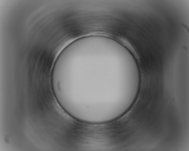 X0000103501284200809121004