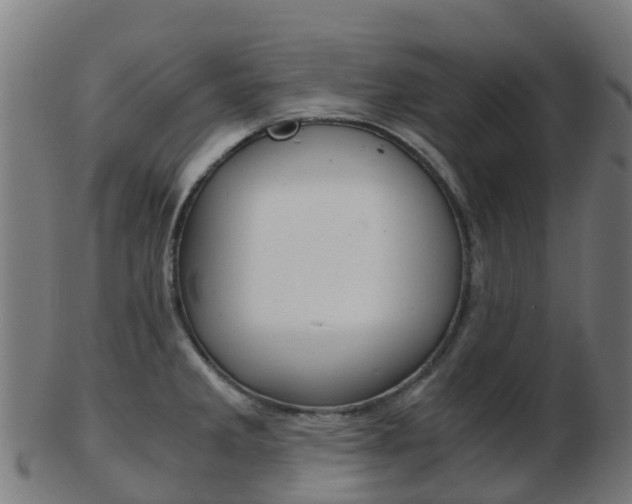 X0000103501285200809121004