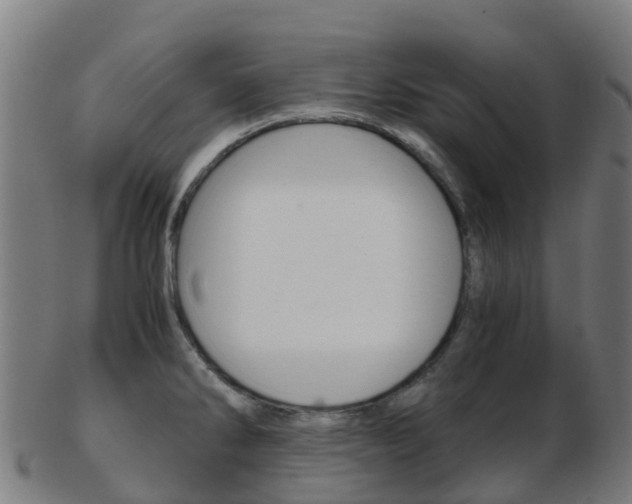 X0000103501286200809121004