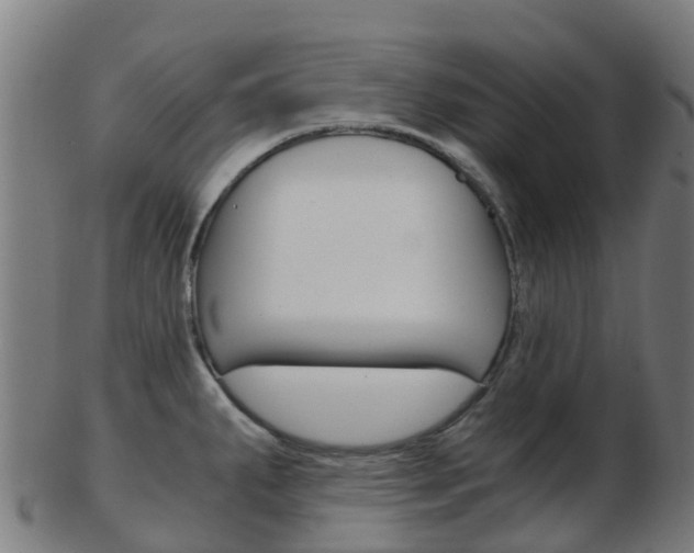 X0000103501287200809121004