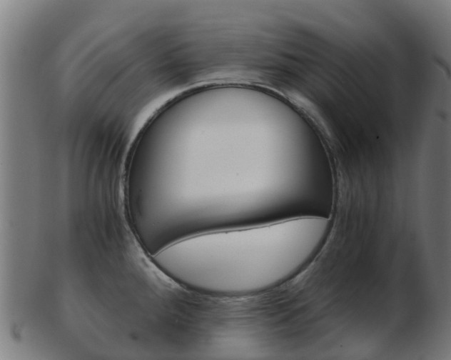 X0000103501288200809121004