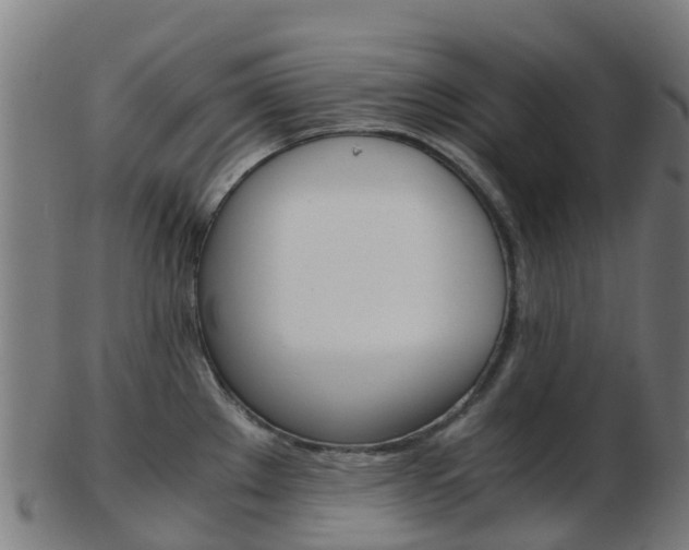 X0000103501289200809121004