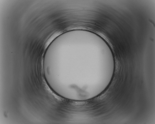 X0000103501290200809121004