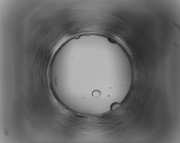 X0000103501291200809121004