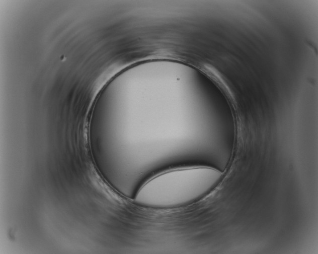 X0000103501292200809121004