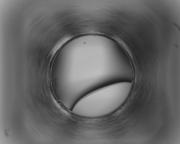X0000103501293200809121004