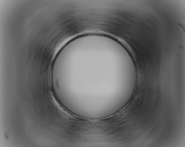 X0000103501295200809121004