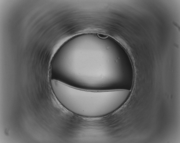 X0000103501296200809121004