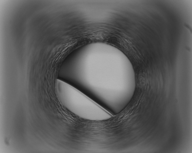 X0000103501297200809121003