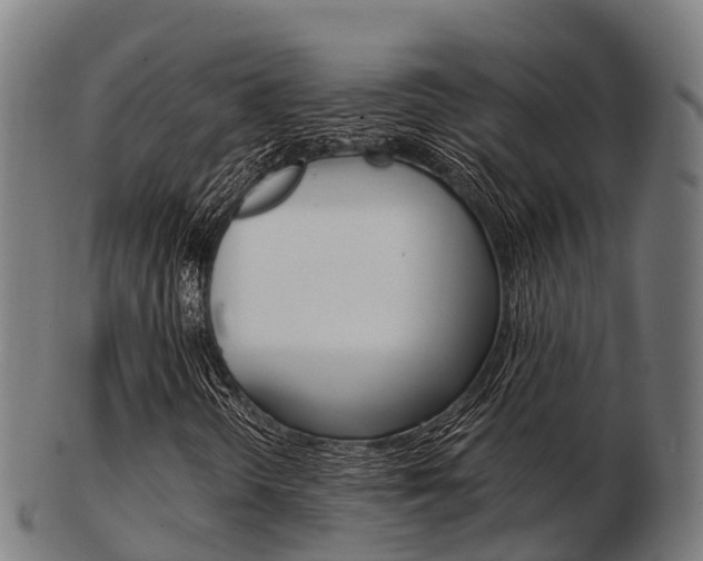 X0000103501298200809121003