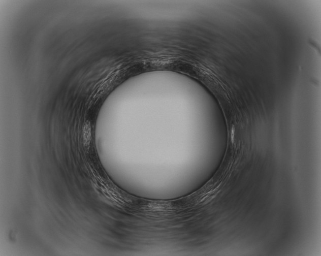 X0000103501299200809121003