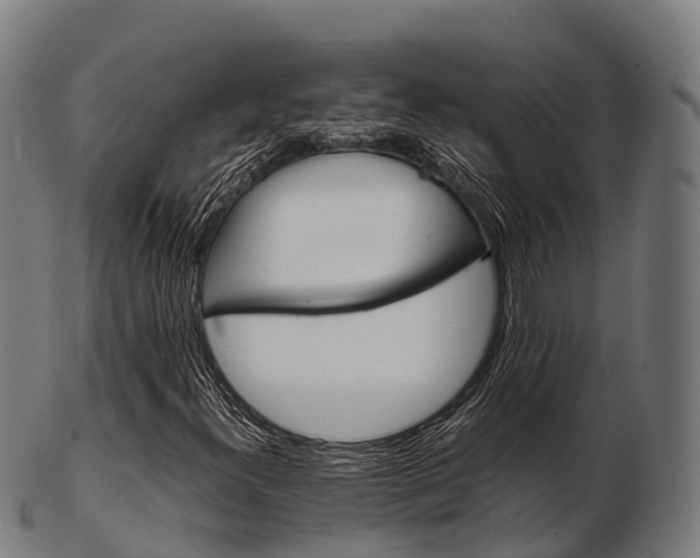 X0000103501300200809121003
