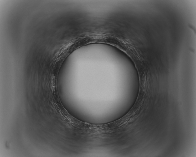 X0000103501301200809121003