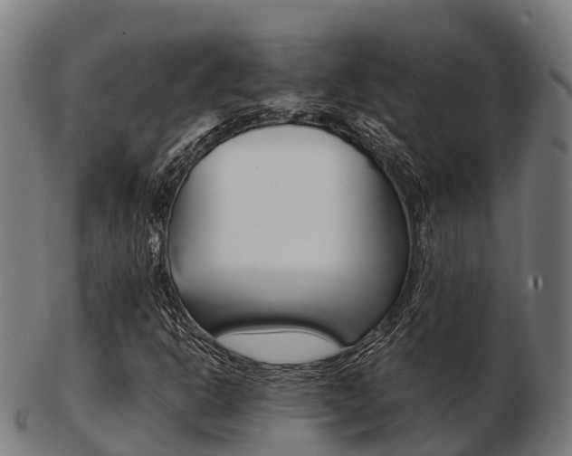 X0000103501302200809121003