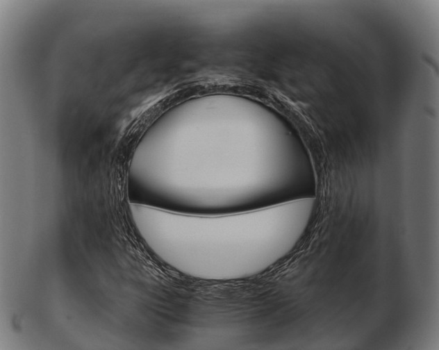 X0000103501303200809121003