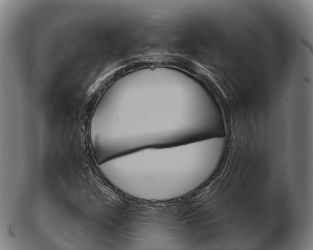 X0000103501304200809121003