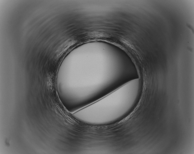 X0000103501305200809121003