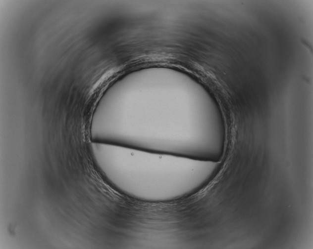 X0000103501306200809121003