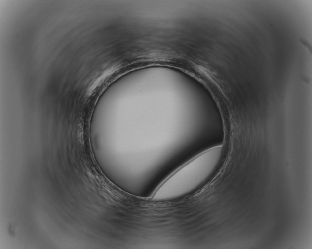 X0000103501307200809121003