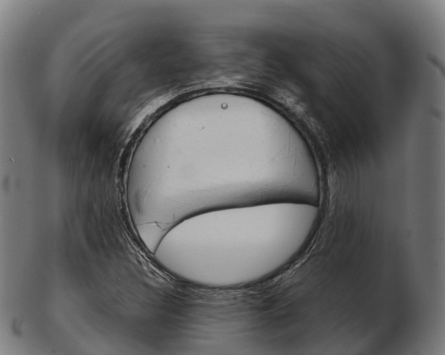 X0000103501308200809121003