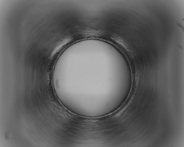 X0000103501309200809121003